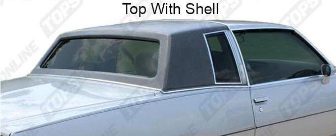 shell-18479-ycaNi9Vzw5jyDL-(1).jpeg